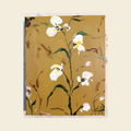 Golden Orchid