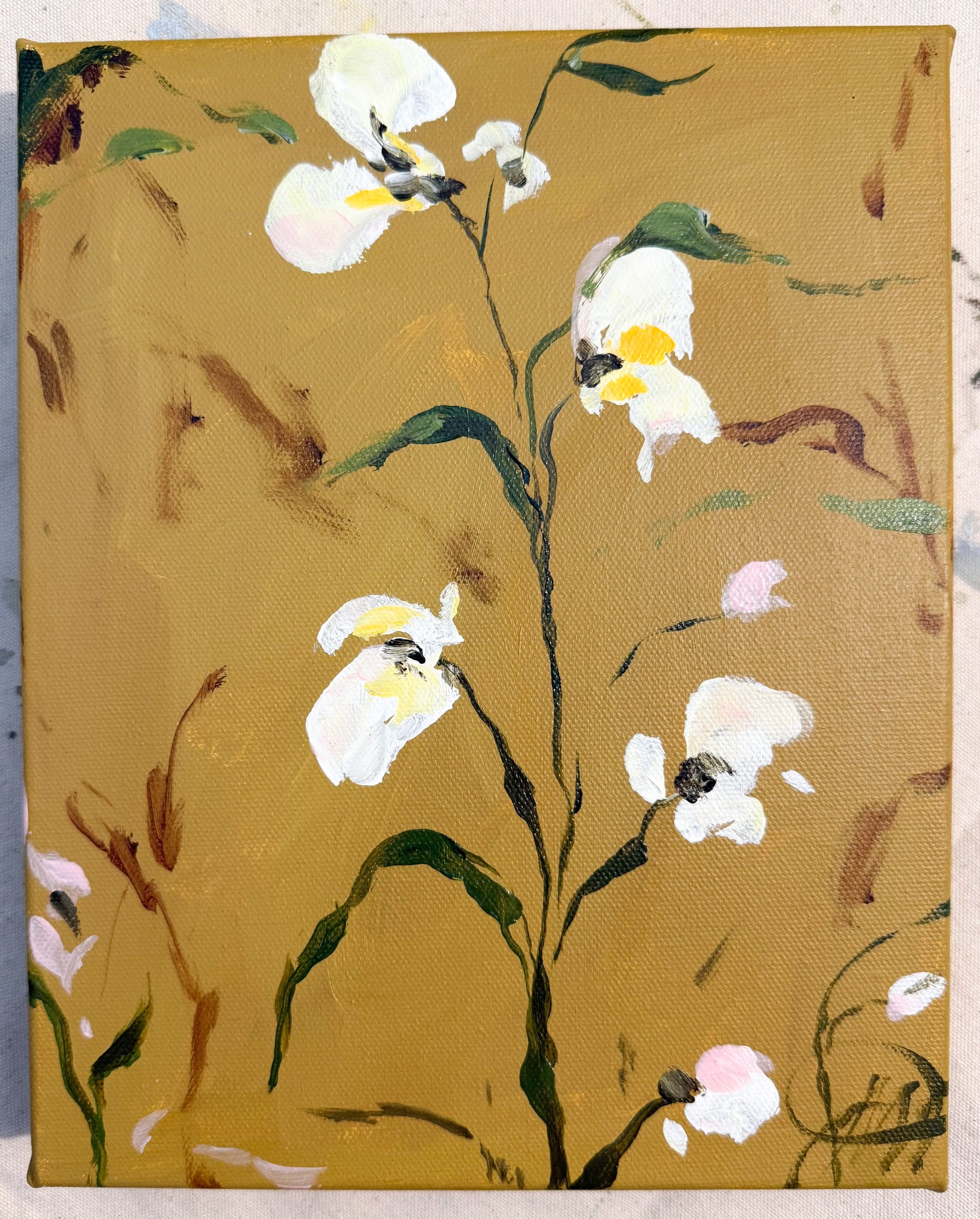Golden Orchid