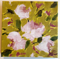 Pink Roses